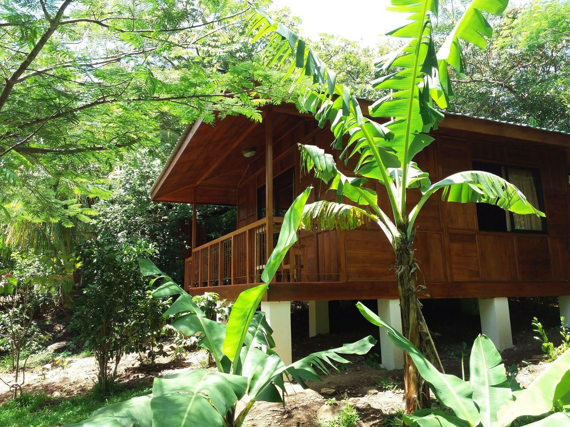 Rancho De Lelo Ecolodge Monteverde Esterno foto